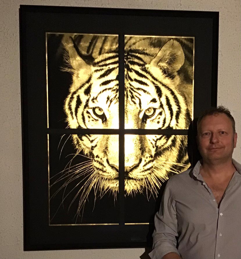 tiger-tigre-jprigotti-artist-artwork-gold-bengal