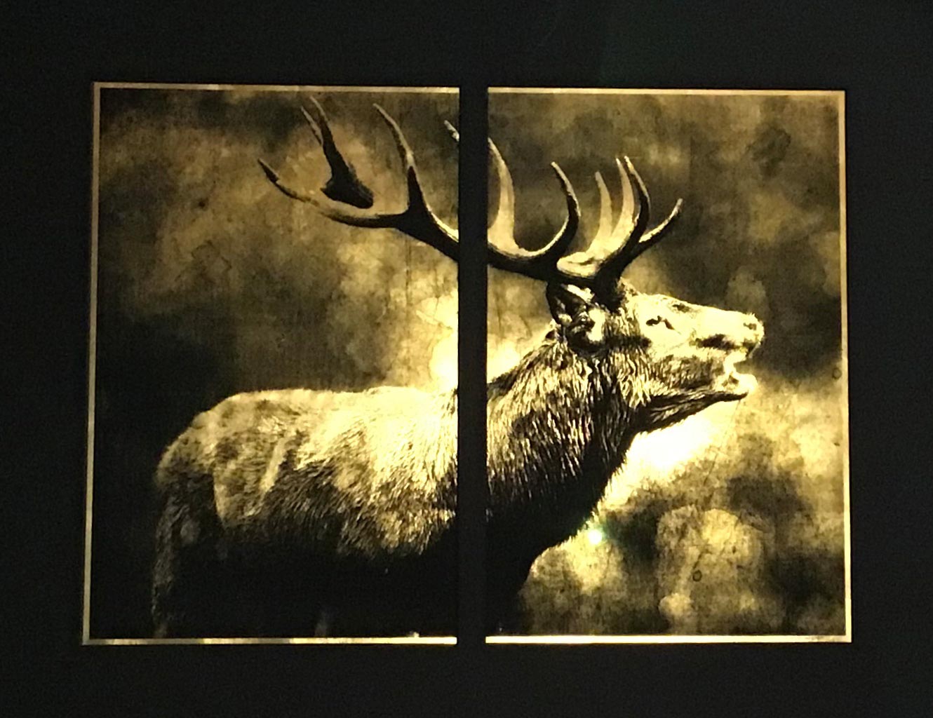 cerf-deer-brâme-belling-artwork-gold