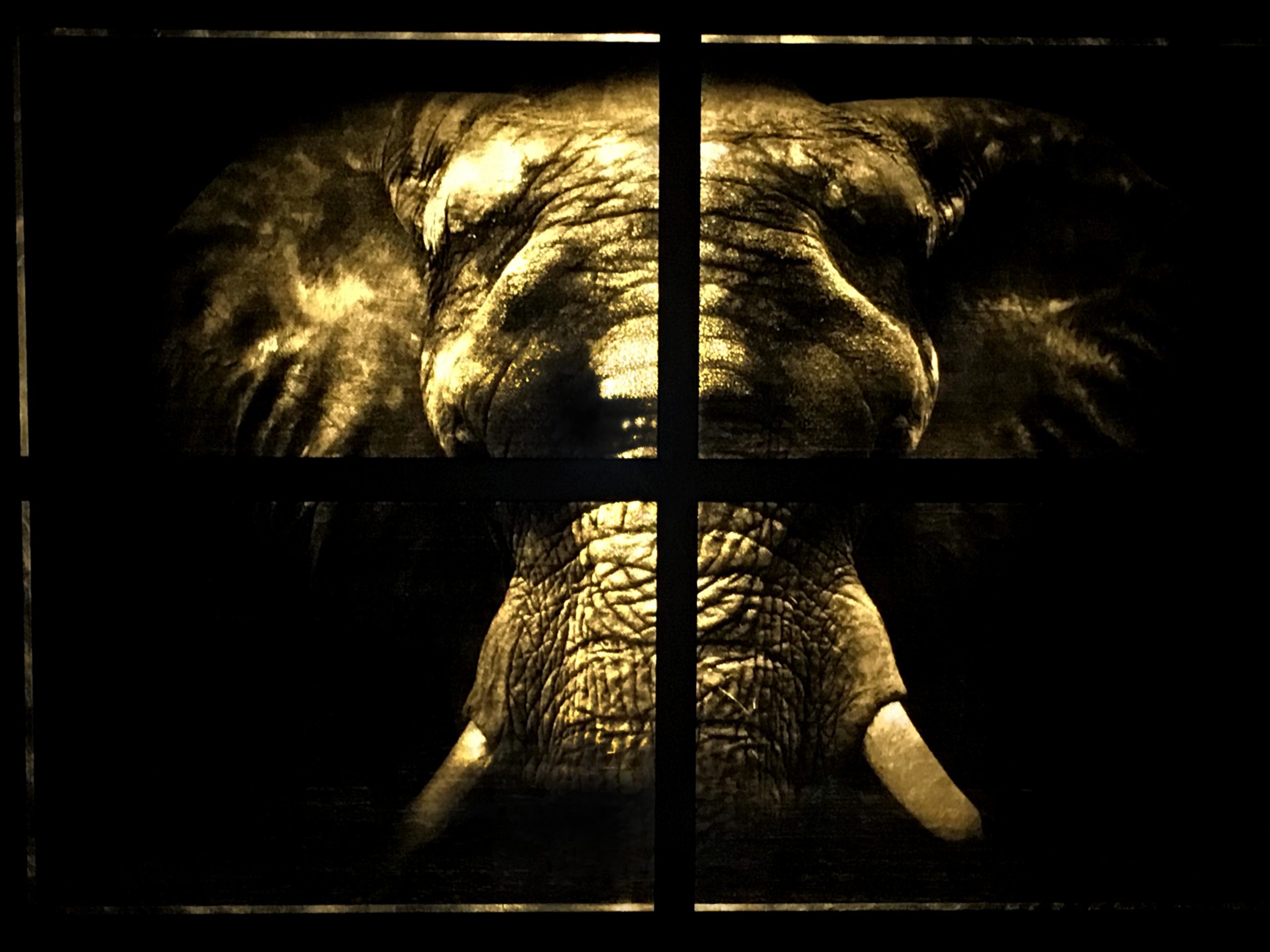 elephant-portrait-artwork-gold