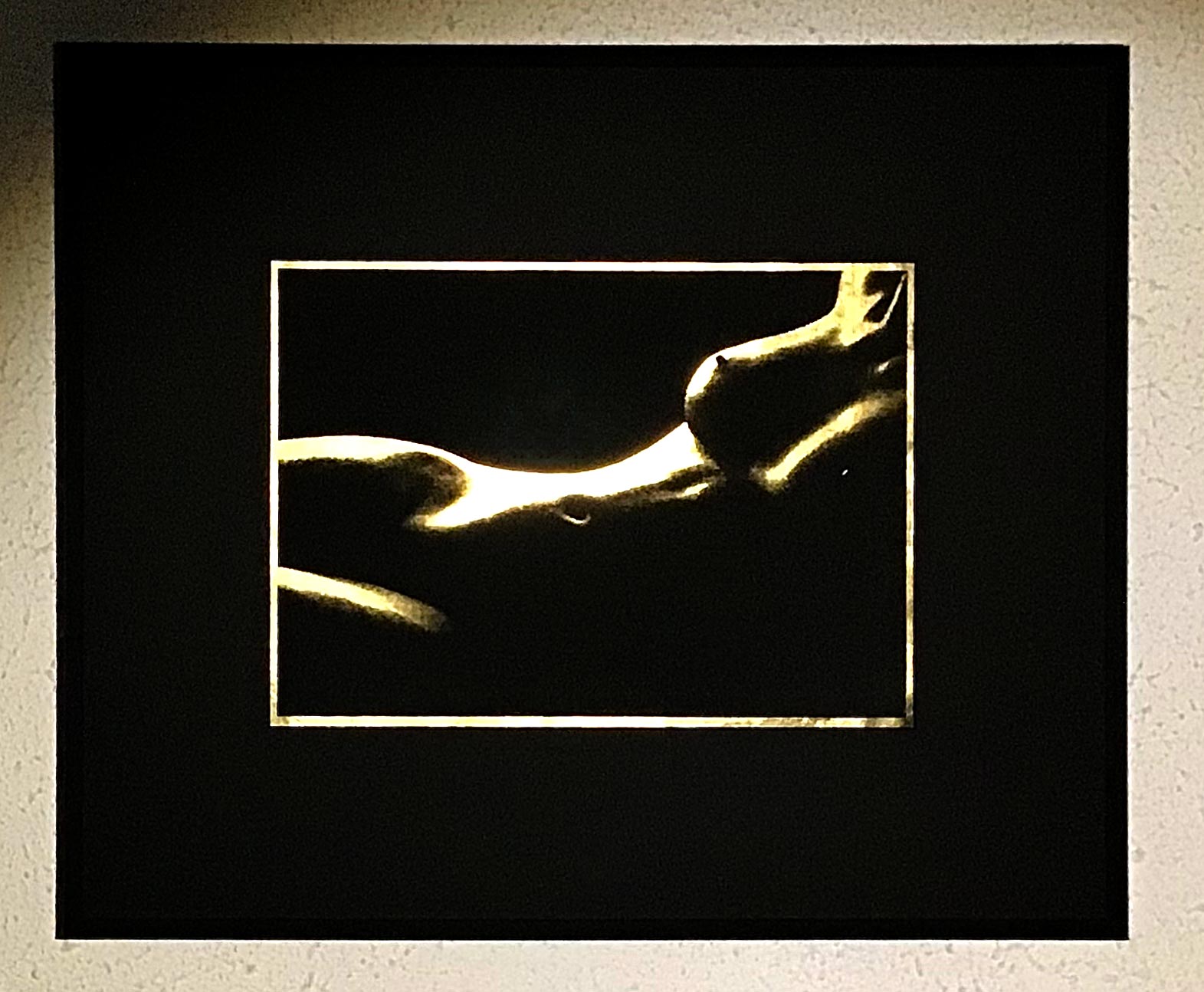 woman body-femme-corps-artwork-gold-nude-nue