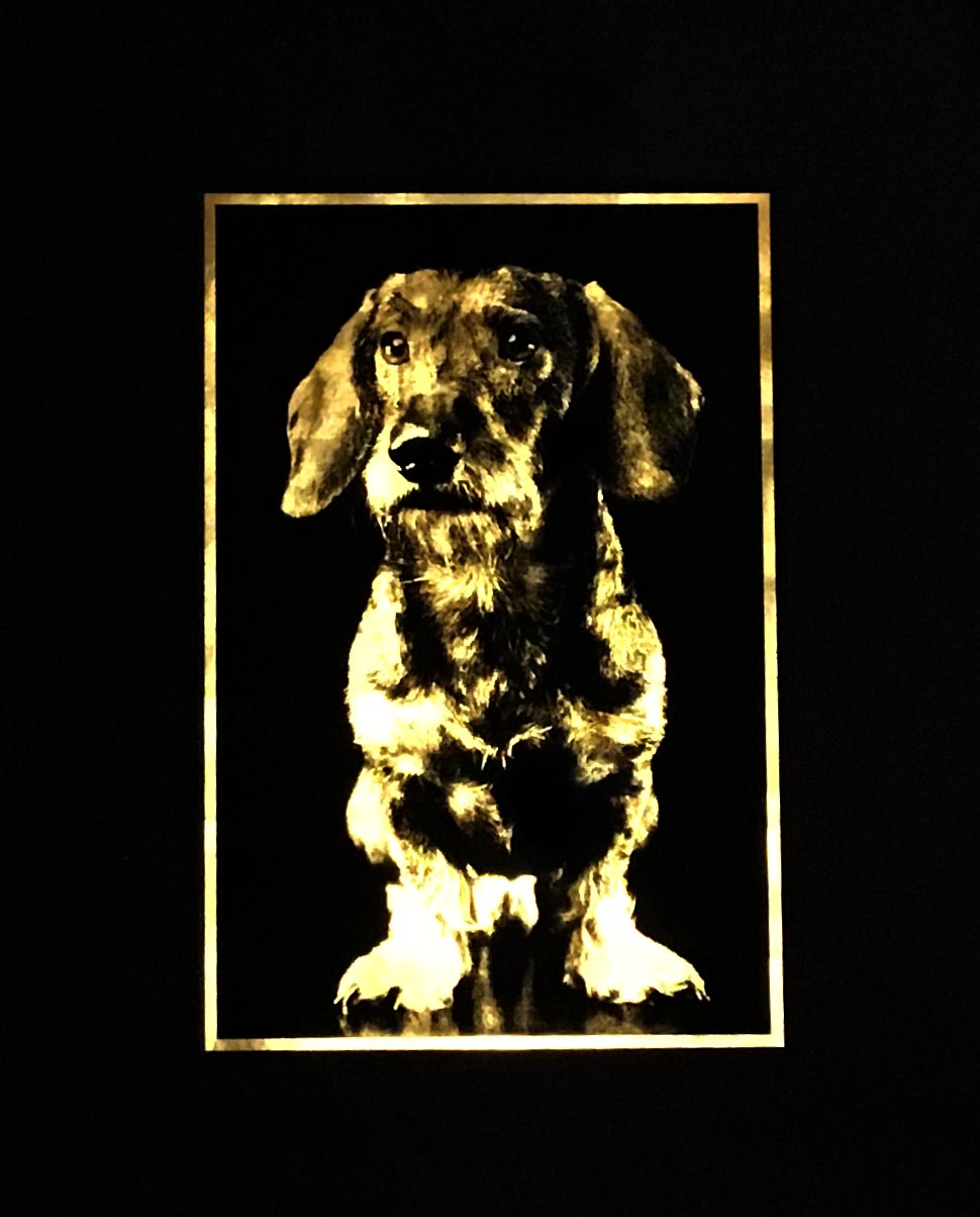 dachshund-teckel-portrait-artwork-gold