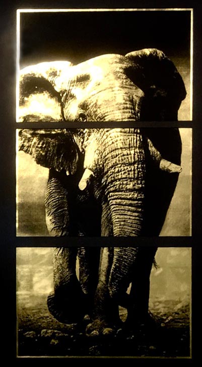 elephant-portrait-artwork-gold